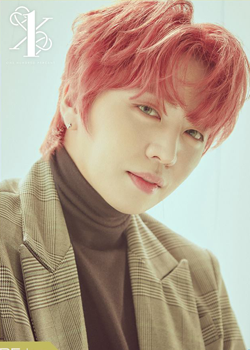 Kim Chan Yong (100%) (1993)