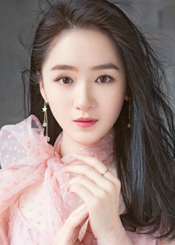 Lin Xue Piao (1993)