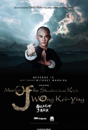 Master Of The Shadowless Kick Wong Kei-Ying