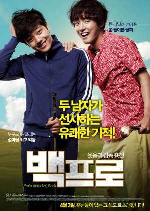 Mr. Perfect (2014)