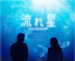 Nagareboshi (2010)