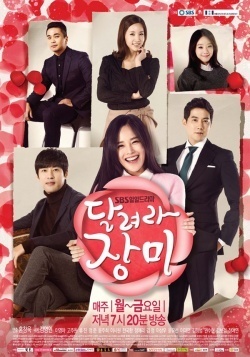 Run jang mi 2025 english subtitles watch online