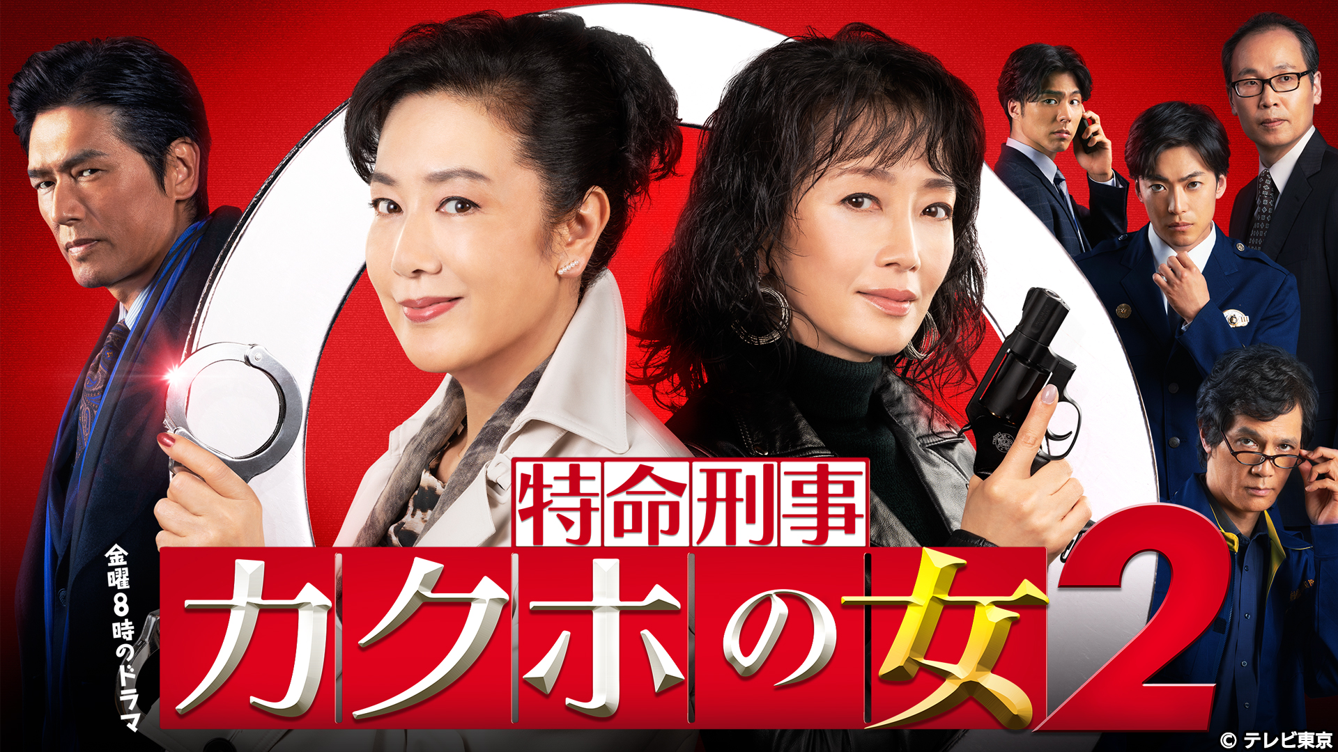 Tokumei Keiji Kakuho no Onna 2 (2019)