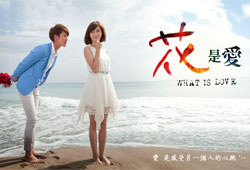 What Is Love (2012)